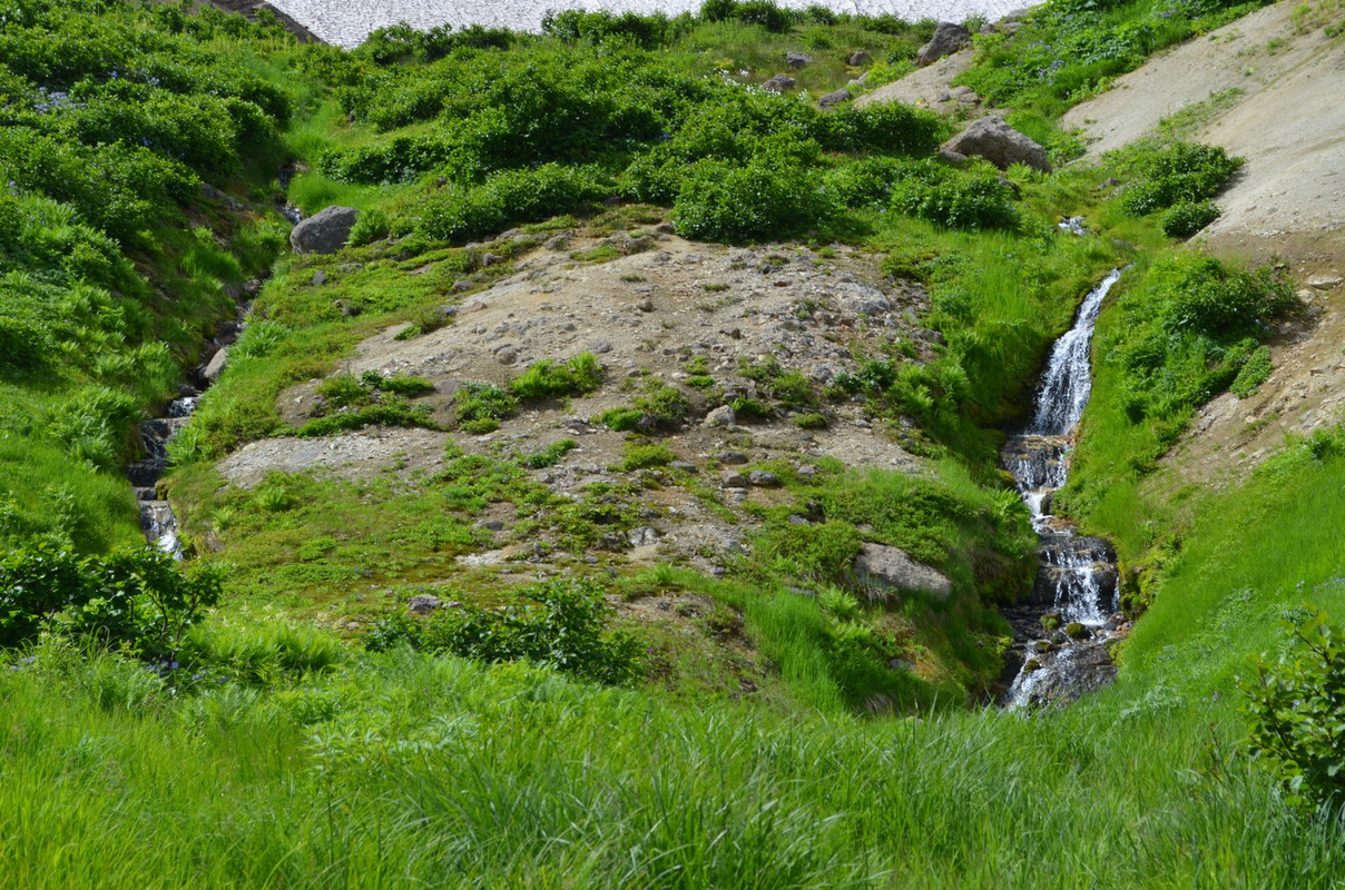 DSC-6543.jpg