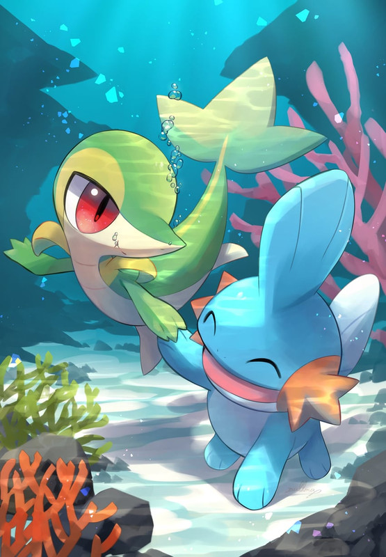 snivy-and-mudkip-pokemon-drawn-by-nullma