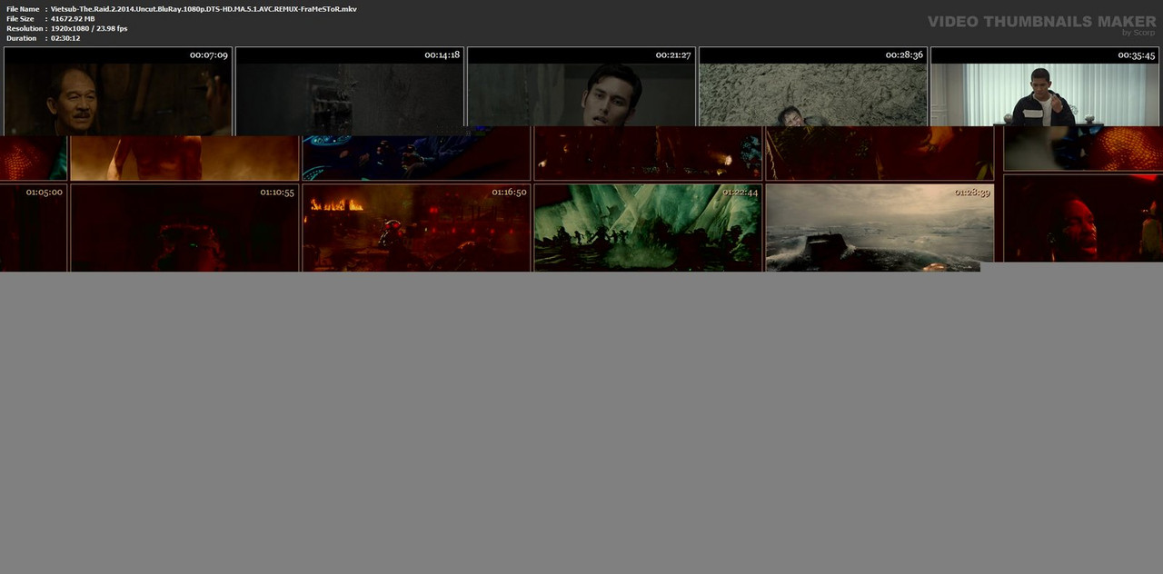 Vietsub-The-Raid-2-2014-Uncut-Blu-Ray-1080p-DTS-HD-MA-5-1-AVC-REMUX-Fra-Me-STo-R-mkv.jpg