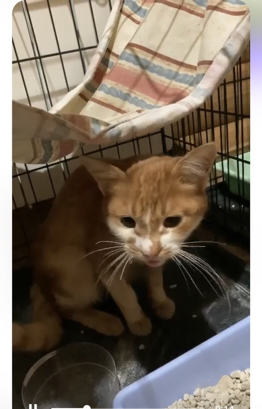 IMG-bc34c7512ec83e1a7865c36b225d5d55-V