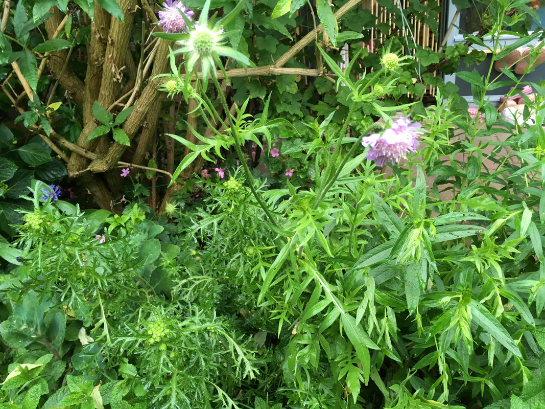 94109179-D93C-48E2-97AE-5E35E1ED5C4E