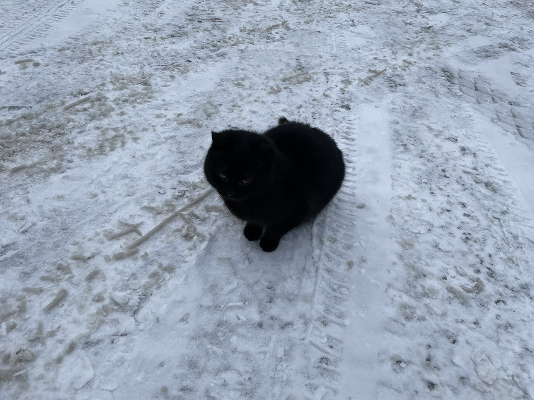 D7E30784-4688-473E-9493-BBA670607587