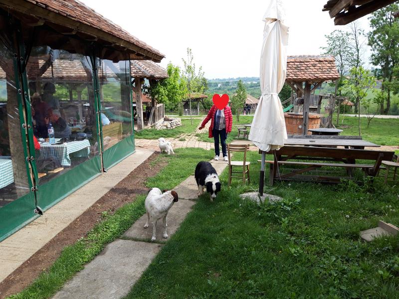 Slika
