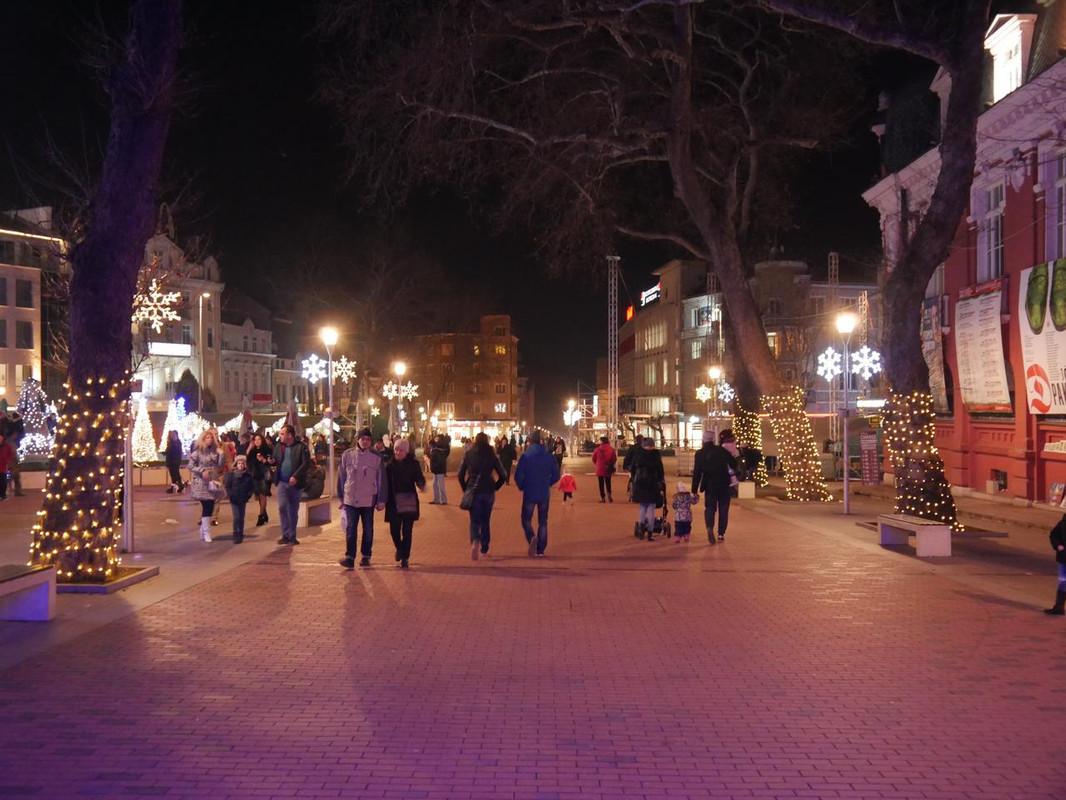 P1090084.jpg