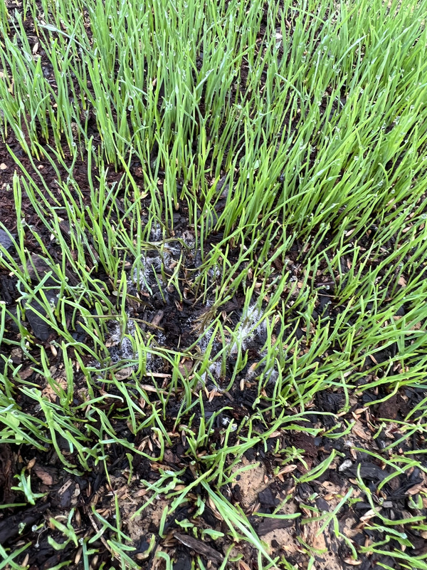 A9F8DBF0-A01C-4C86-9AA9-4C03DAEA9B7A