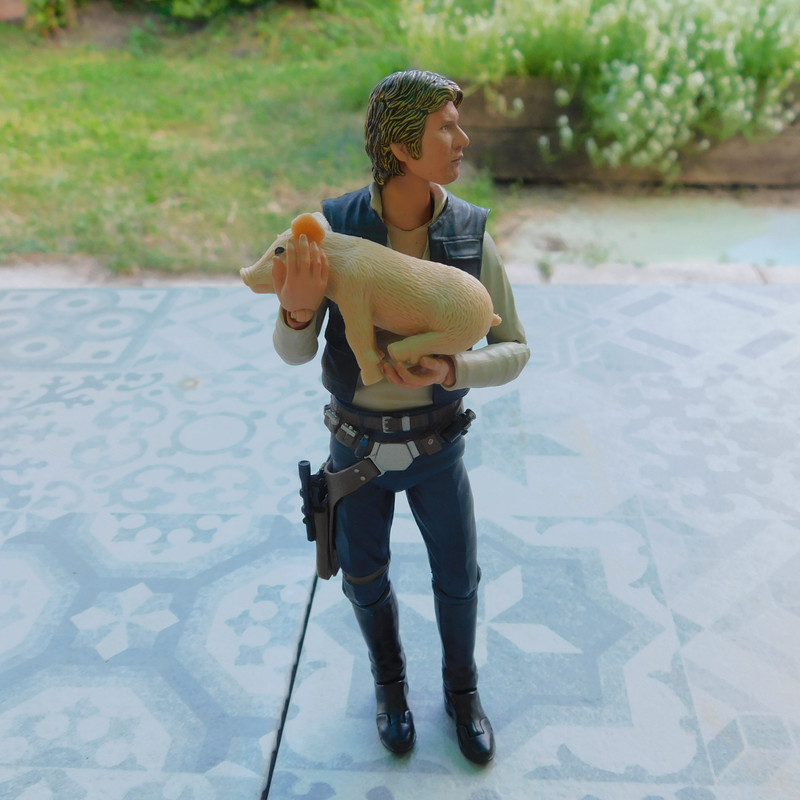 Дачно-Харлинский июнь-июль 2024 305