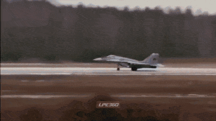 https://i.postimg.cc/NjWGBn10/Qualified-Unlucky-Discus-size-restricted.gif