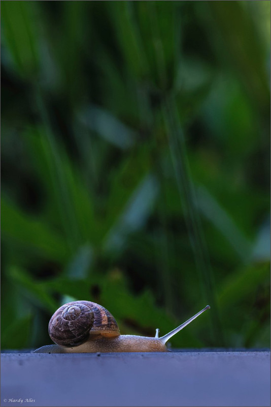 XT4H2422-Verbessert-RR  DFHJuli 2024 LR ERWZ FB