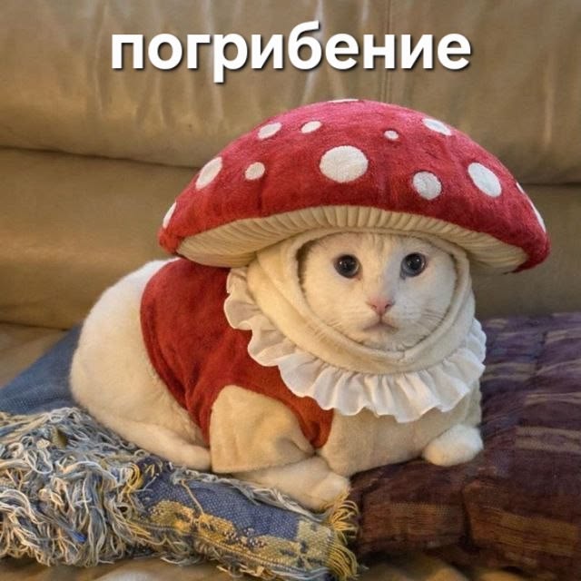 055b60c65c6ba6eb8bf03f48c18a3bd7.jpg