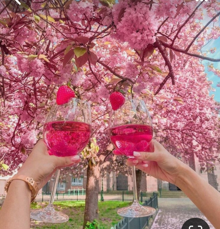 Screenshot_20240204_152629_Pinterest