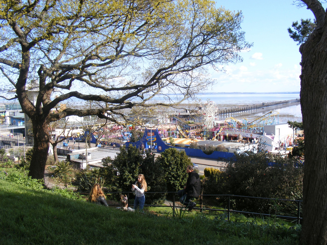 DSCF7482.jpg