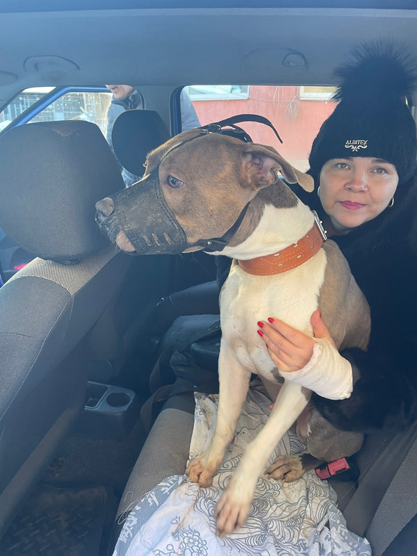 B691EDD2-D4A3-4E19-924F-0495784E039B