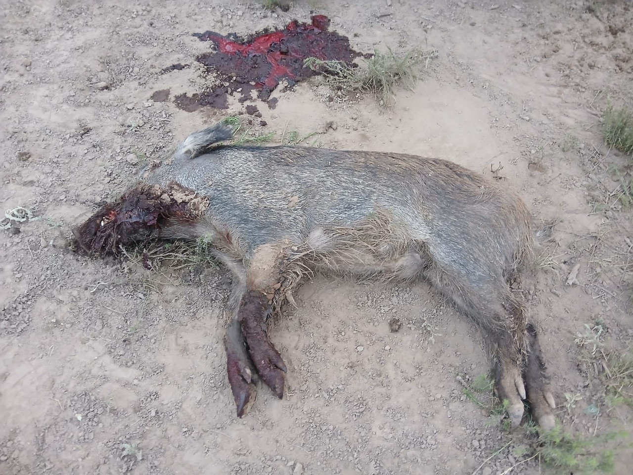 7d9fa513 9693 4f36 8aee 6ffcdae533be