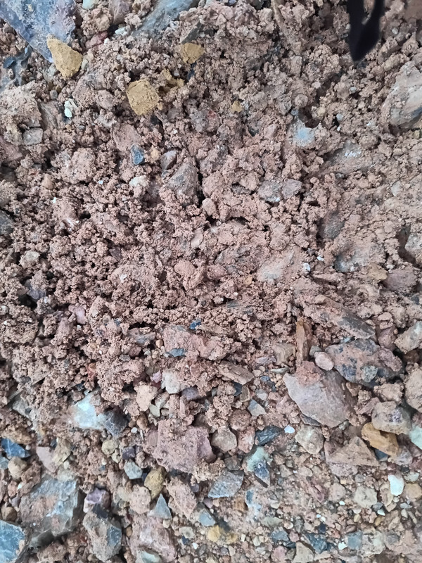 IMG 20251207 153400 596