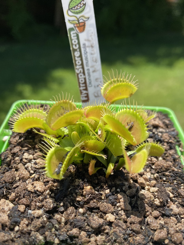 6661B178-DAEB-4C1F-A3E8-1B57F36745F8