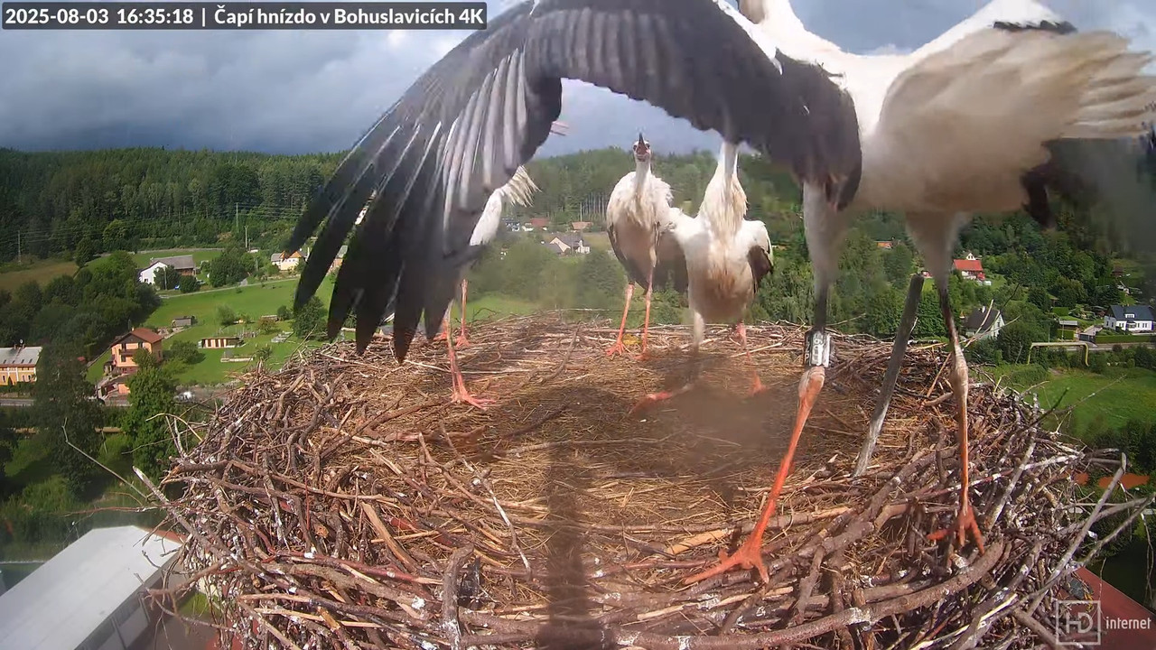 Tiešraide no KARA uzņēmuma stārķu skursteņa Bohuslavicē netālu no Trutnovas 15-24-26 screenshot