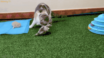 ���� ���� ������ �� ���� ������