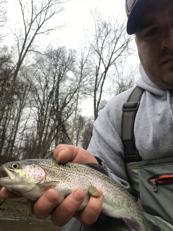 32D7D1E8-83E4-496A-92E8-BF2A81F6D4DF