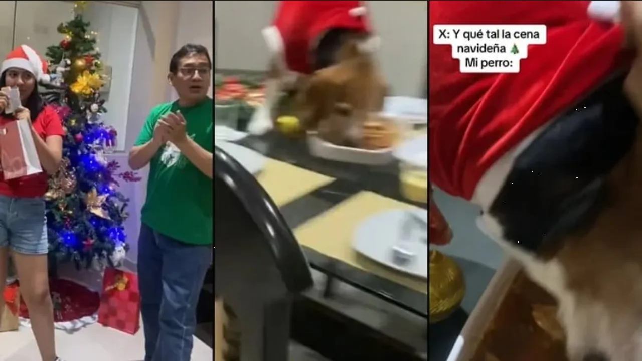 Perrito se come la cena navideña de su familia y se hace viral (Video)