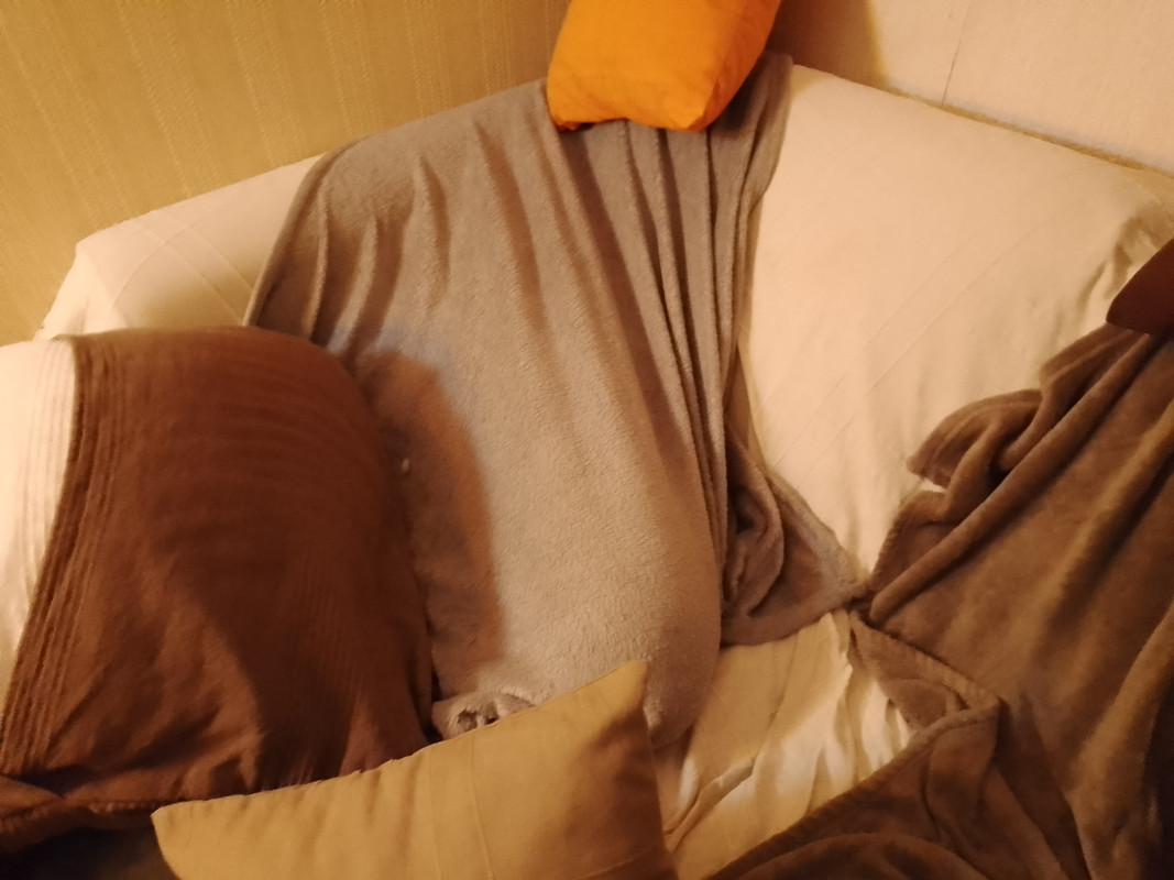 [Image: IMG-20220209-204334.jpg]