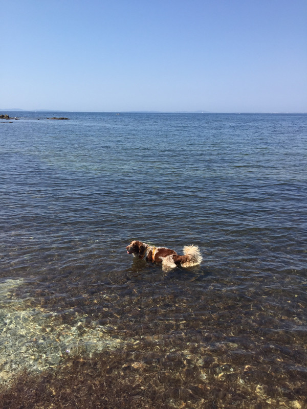 8A7BC483-AF9E-4C19-9651-B3E380FDDF0B