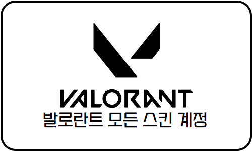 발로란트 정보변경가능 스킨개수별 계정