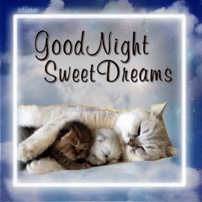Good Morning, Good Afternoon, Good Evening, Good Night, Good Day! (#2)