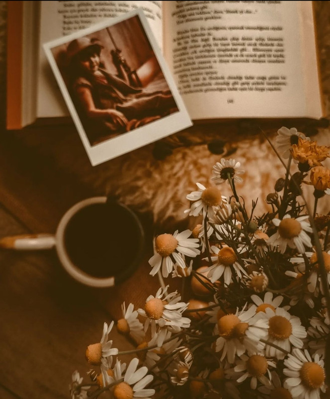 Screenshot_20231203_233328_Instagram