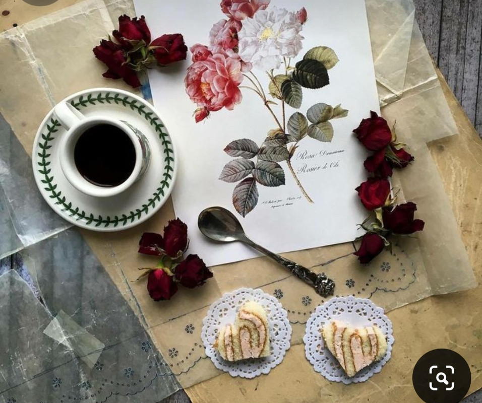 Screenshot_20240609_213509_Pinterest