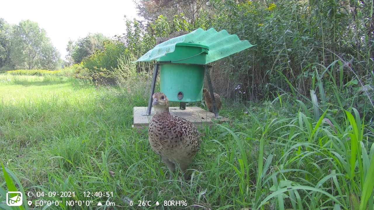 BFE76A0D-32FC-436D-8165-CB801B15261F