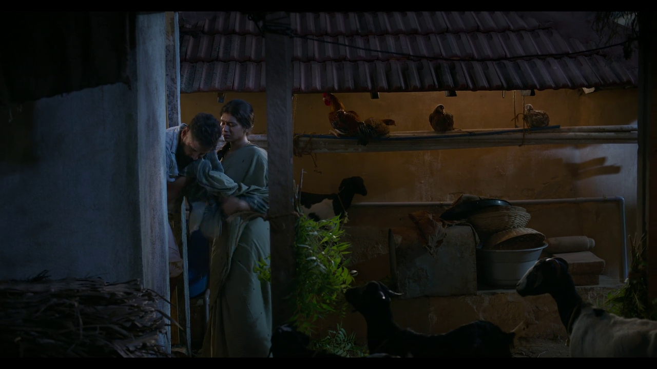 vlcsnap-2025-04-24-21h06m23s233