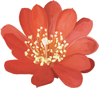 KBK_PrettyRabbit (75)