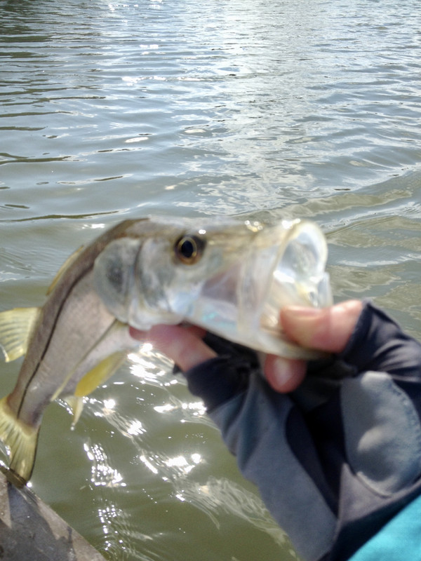 44133791-D1AD-4AEE-83D3-DD81683DAA3C