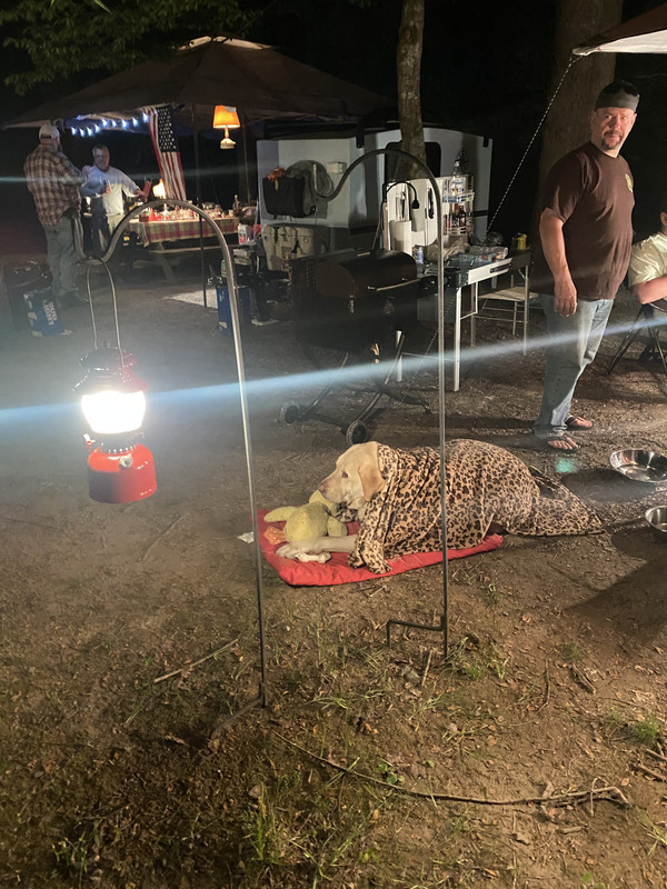 66FAB11E-DF5D-4050-B3B8-B16303358CE4