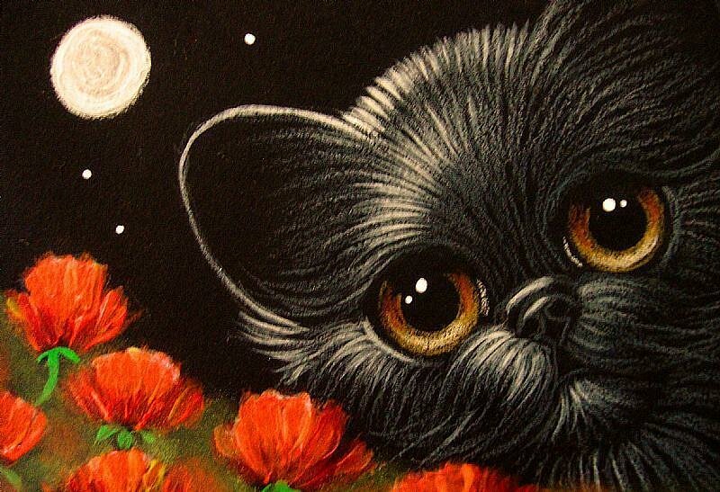 19-BLACK-KITTEN-CAT-WITH-POPPY-FLOWERSjpg