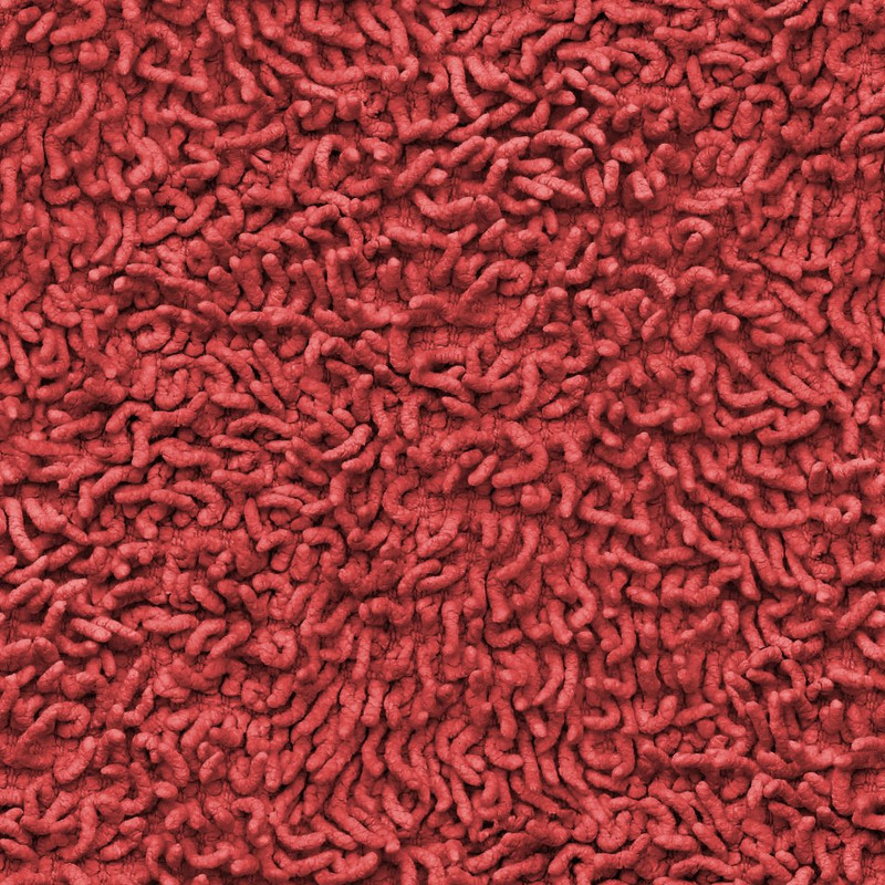 480607_394806710578953_553386712_n