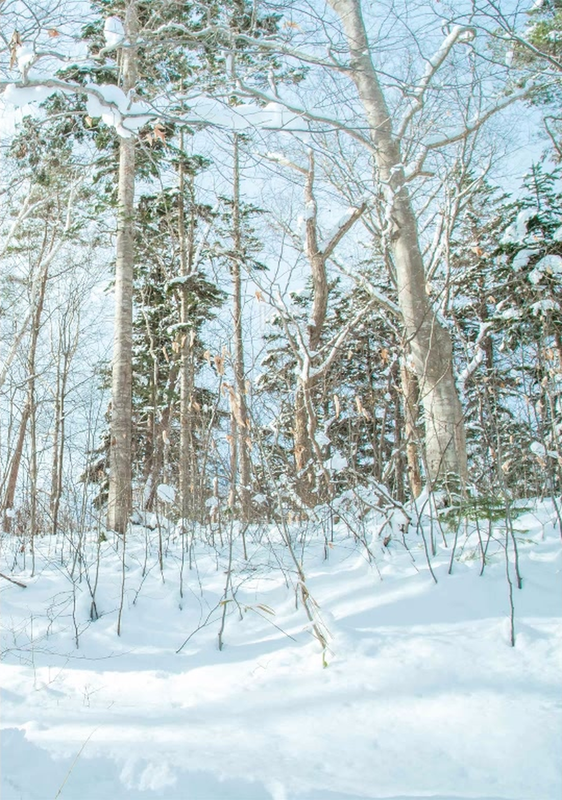 158