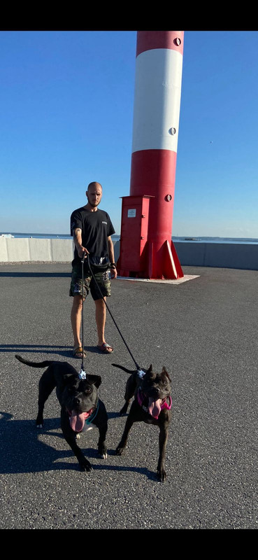 49E23E1F-AFD4-4163-8B8F-0081DEE82A44