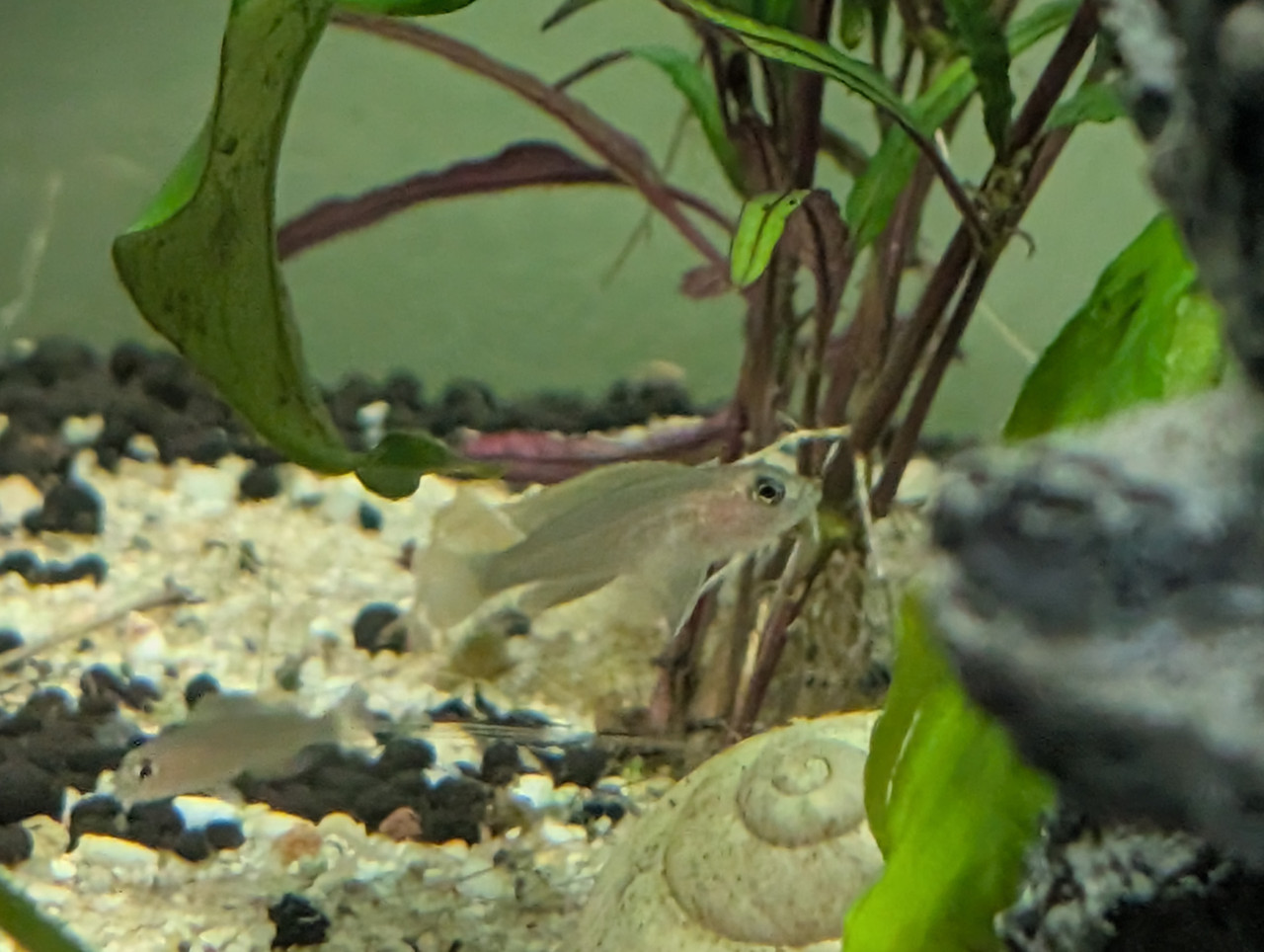 PXL 20260124 122554581