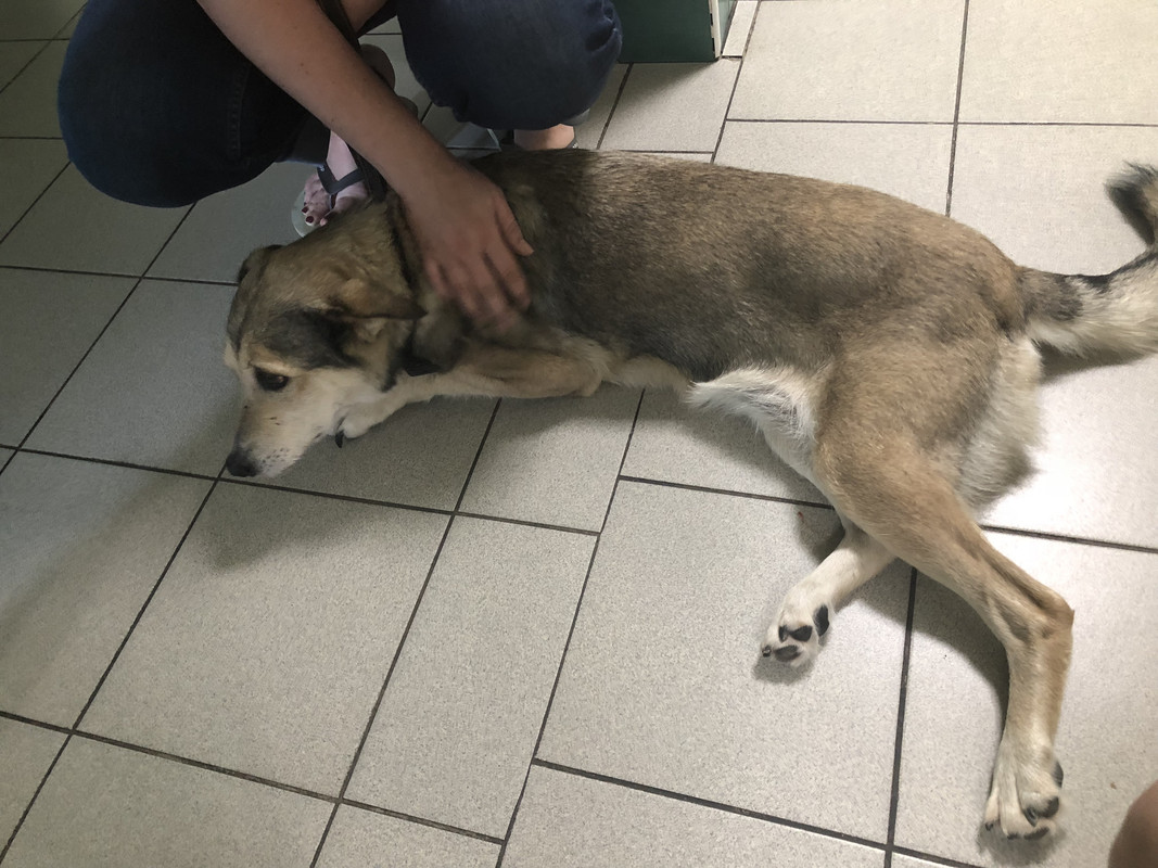 BF45894B-F37D-493A-B629-B440F102A823