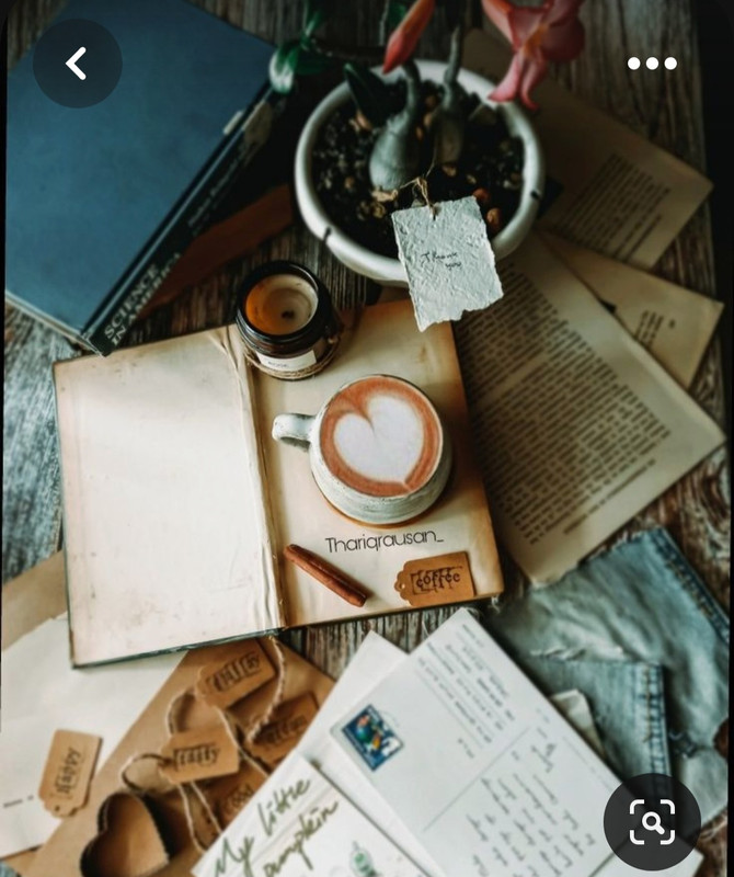 Screenshot_20230616_141212_Pinterest