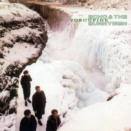 porcupine echo and the bunnymen