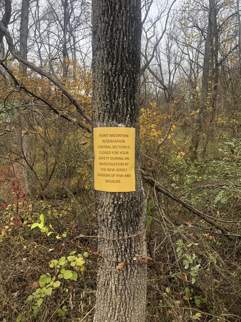 247B1C8C-4042-4DD0-A095-7462E97A3411