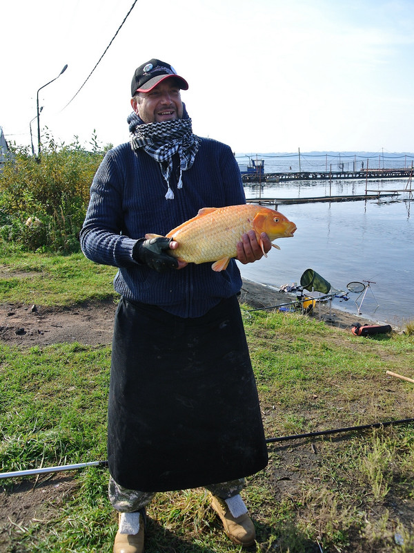 Добрянка 21.09.14 07