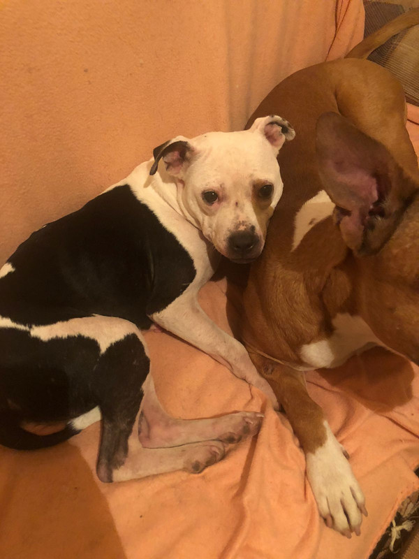 675E334B-210E-4067-AD88-6448A100CE02