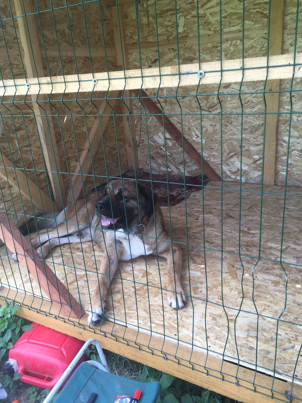 605C00A9-8DAC-4F1B-9079-D63F9906FB9B