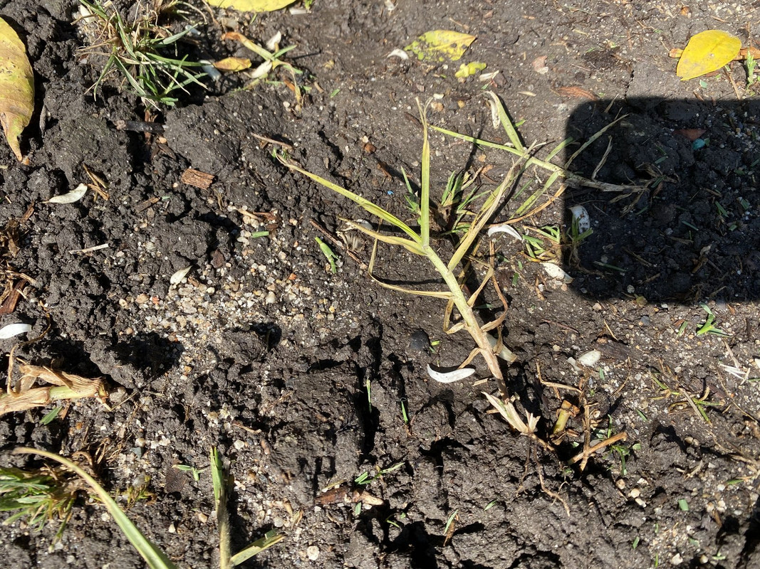 B82C9A40-C4CC-4237-AF24-4AE2D23A783E