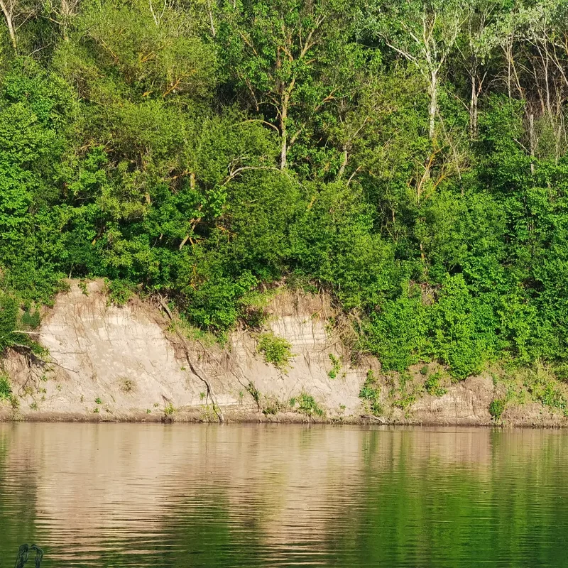 https://i.postimg.cc/NjbXGXJ0/IMG-20220507-121127-307.webp