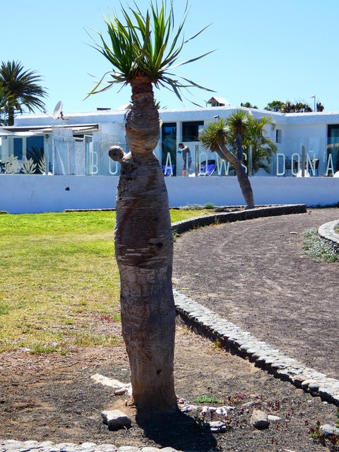 Maspalomas-6-4-2025 - Islas Canarias y sus pueblos-1991/2025 (57)