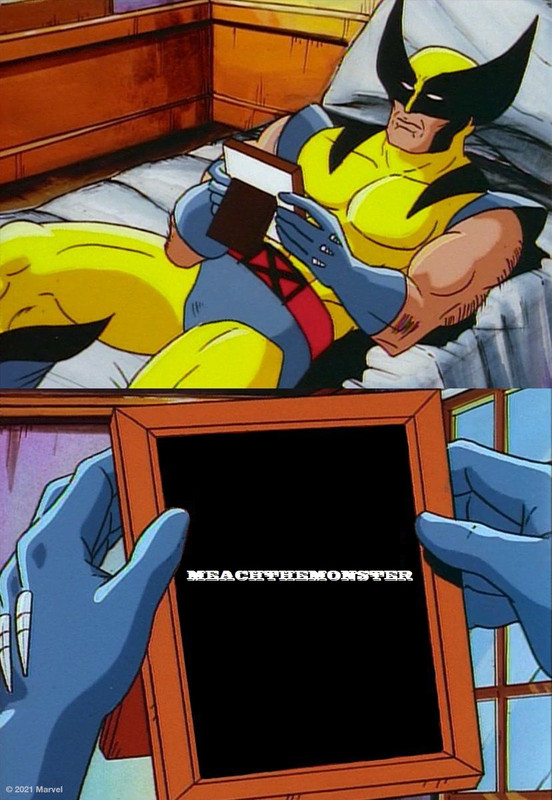 meachwolverine.jpg